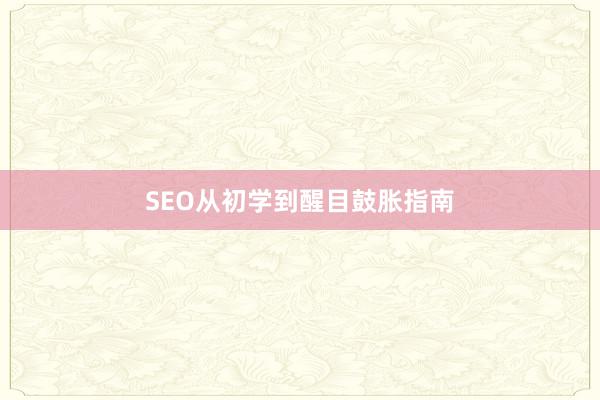 SEO从初学到醒目鼓胀指南